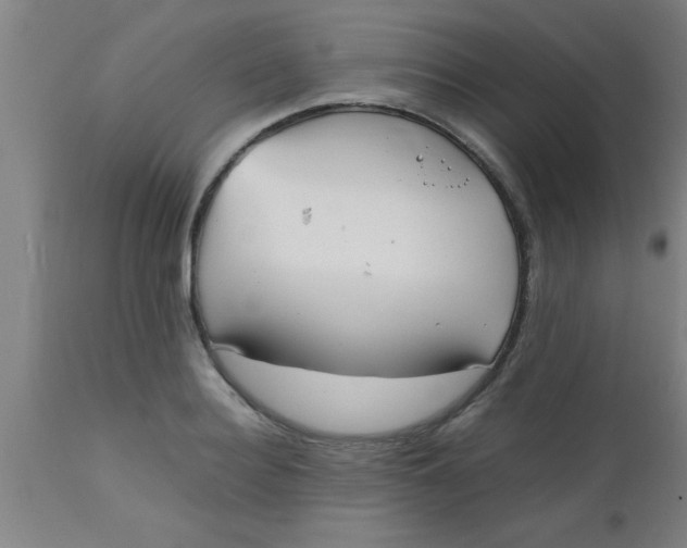 X0000112530940200909071354