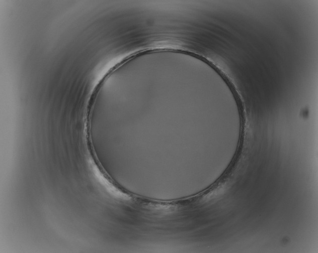 X0000112530941200909071354