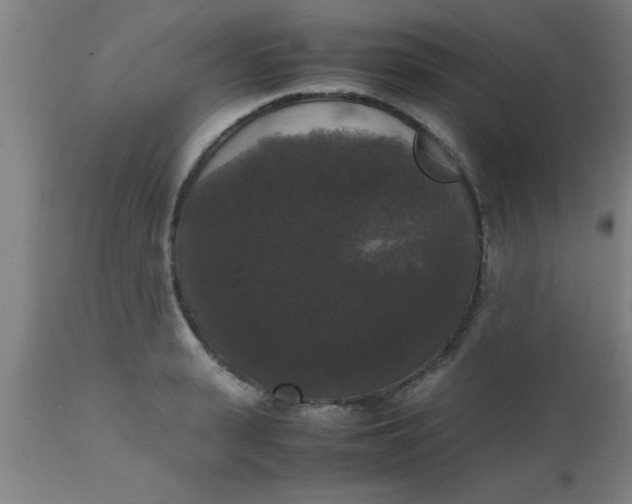 X0000112530943200909071354