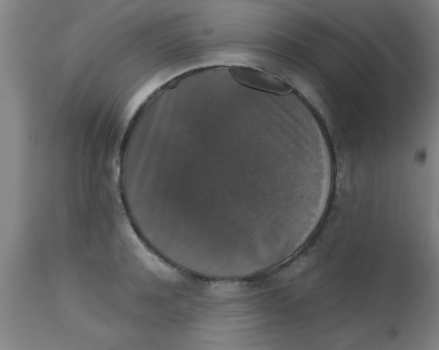 X0000112530944200909071354