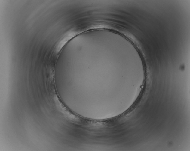 X0000112530945200909071354