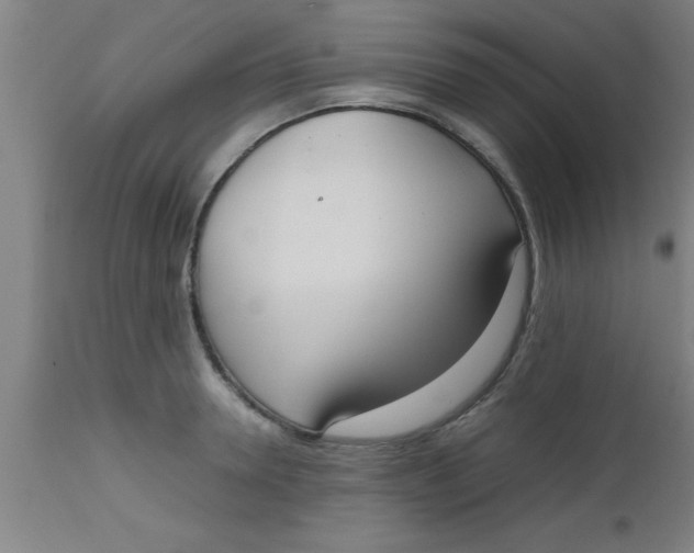 X0000112530946200909071354