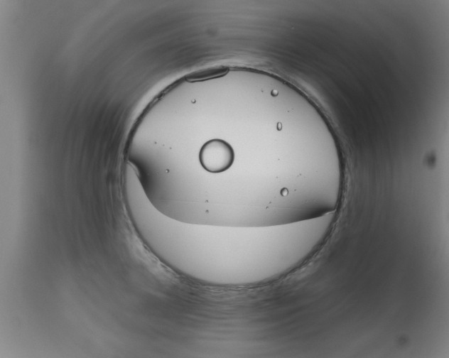 X0000112530948200909071354