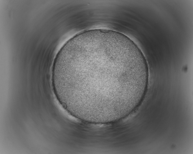 X0000112530949200909071354