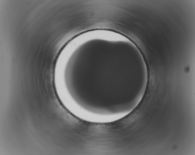 X0000112530950200909071354