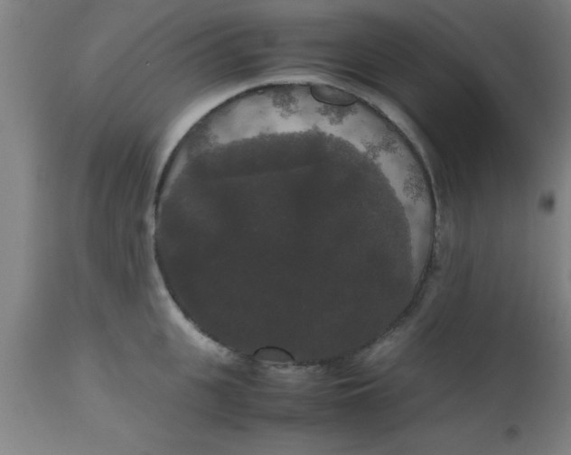 X0000112530951200909071354