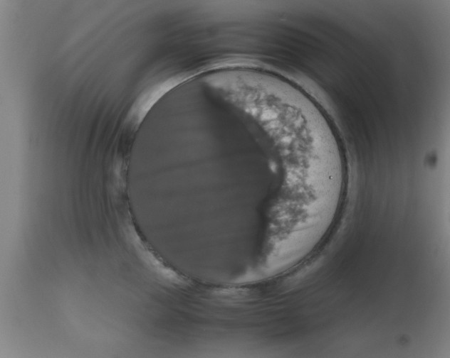 X0000112530953200909071354