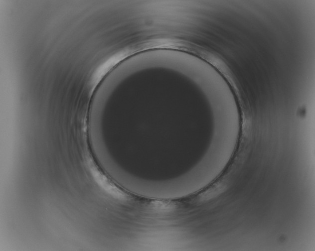 X0000112530954200909071354