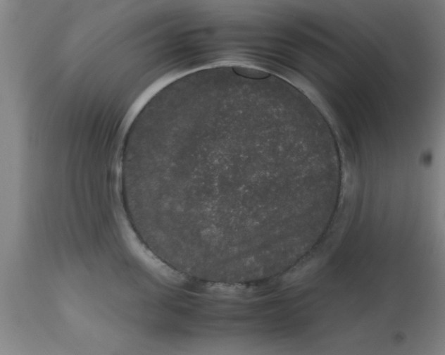 X0000112530955200909071354