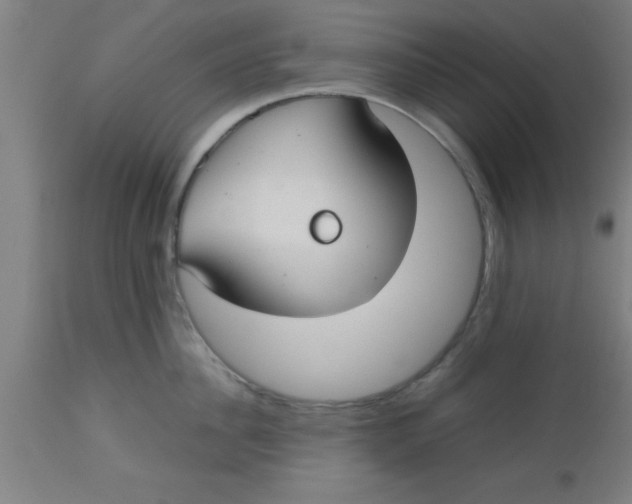 X0000112530956200909071354