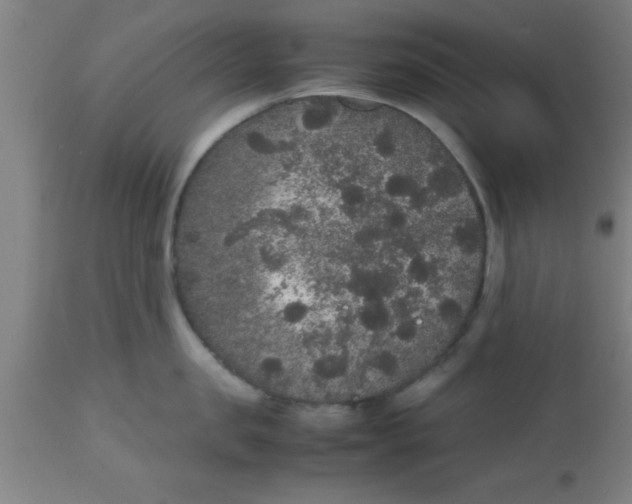 X0000112530957200909071354