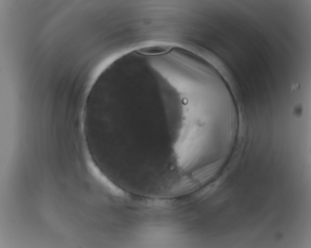 X0000112530958200909071354