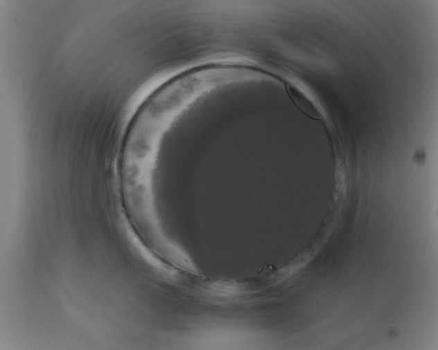 X0000112530959200909071354