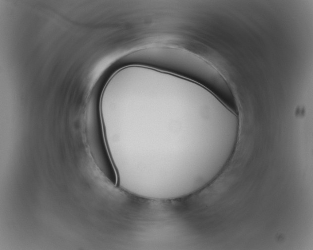 X0000112530960200909071354