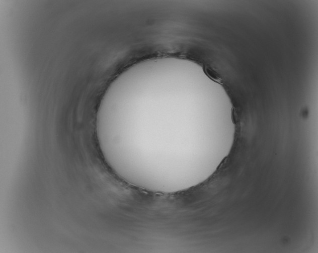 X0000112530961200909071354