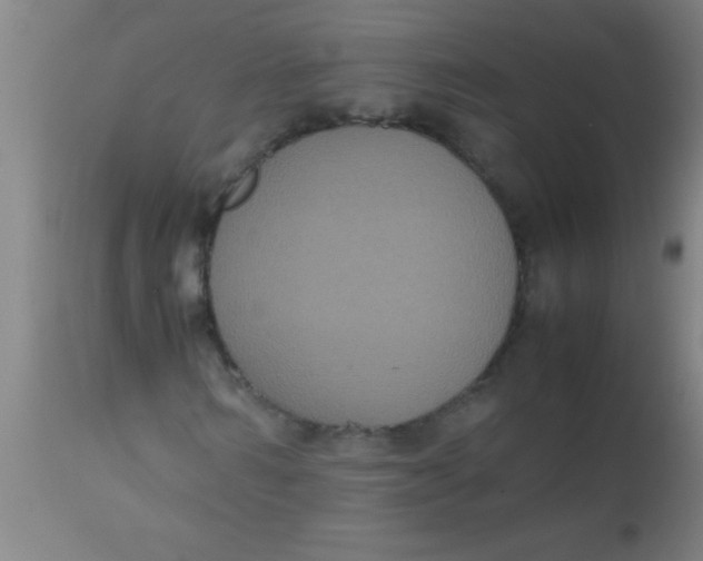 X0000112530962200909071354