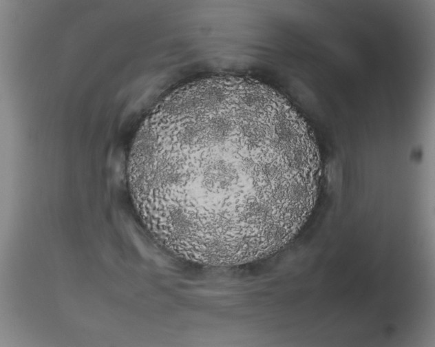 X0000112530963200909071354