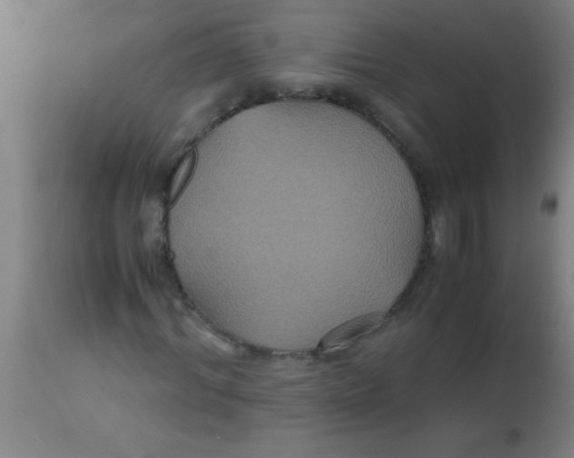 X0000112530964200909071354