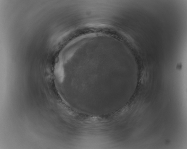 X0000112530966200909071354