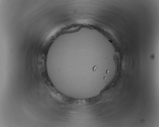 X0000112530968200909071354