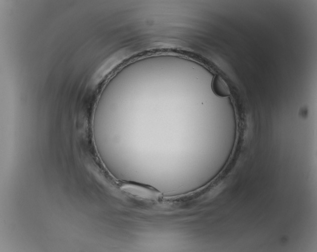 X0000112530969200909071353