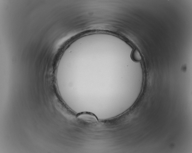 X0000112530971200909071353