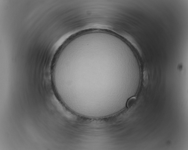 X0000112530972200909071353