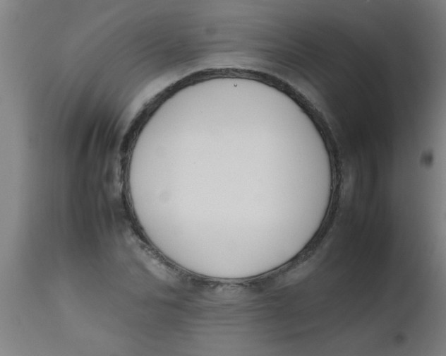 X0000112530974200909071353