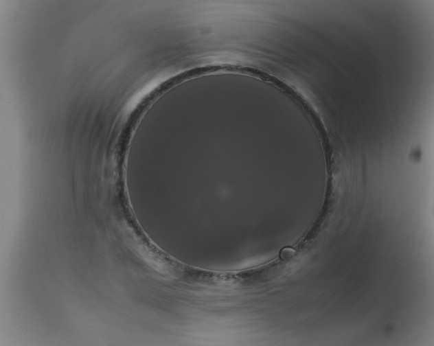 X0000112530975200909071353