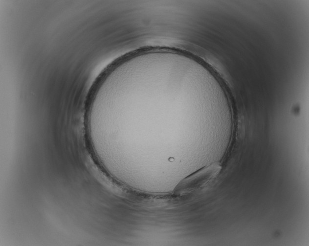 X0000112530976200909071353