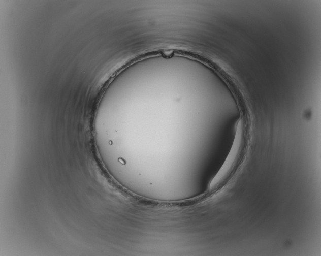 X0000112530977200909071353