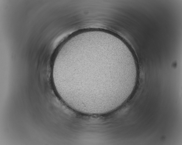 X0000112530979200909071353