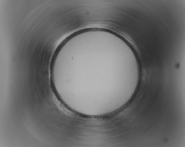 X0000112530980200909071353