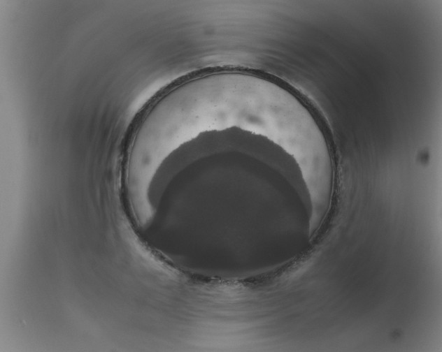 X0000112530983200909071353