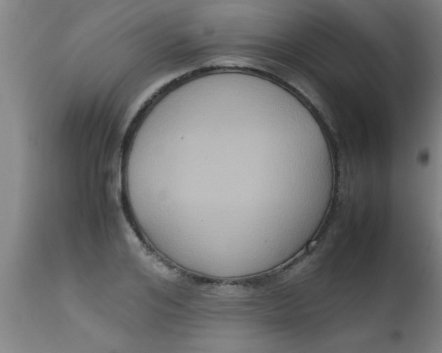 X0000112530984200909071353