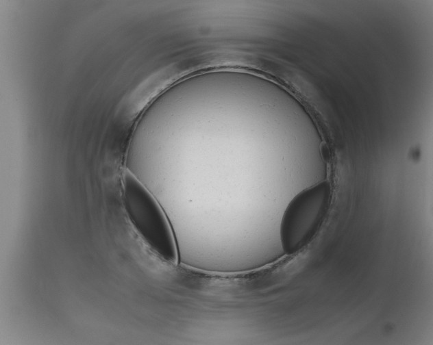 X0000112530985200909071353