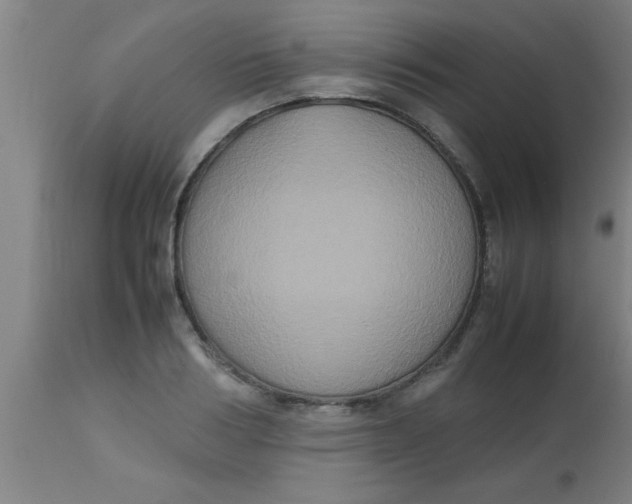 X0000112530986200909071353