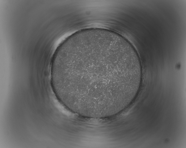 X0000112530987200909071353