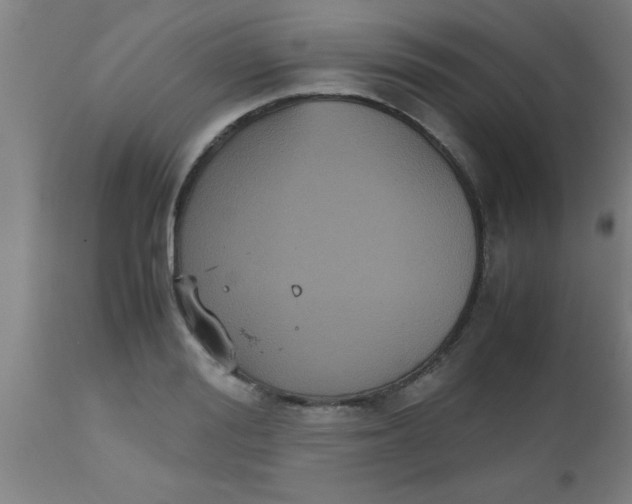 X0000112530988200909071353