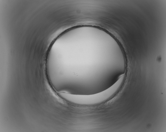 X0000112530989200909071353