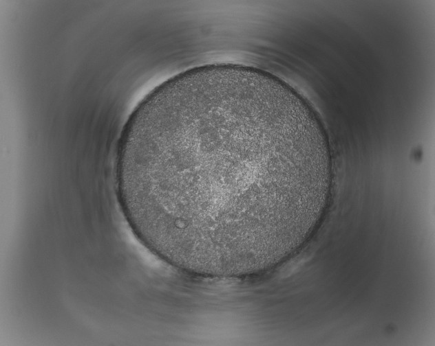 X0000112530991200909071353