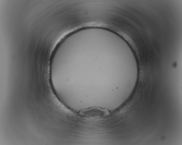 X0000112530992200909071353