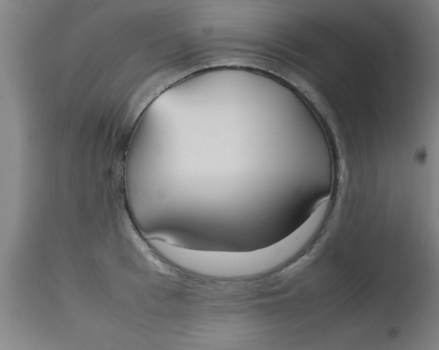 X0000112530993200909071353