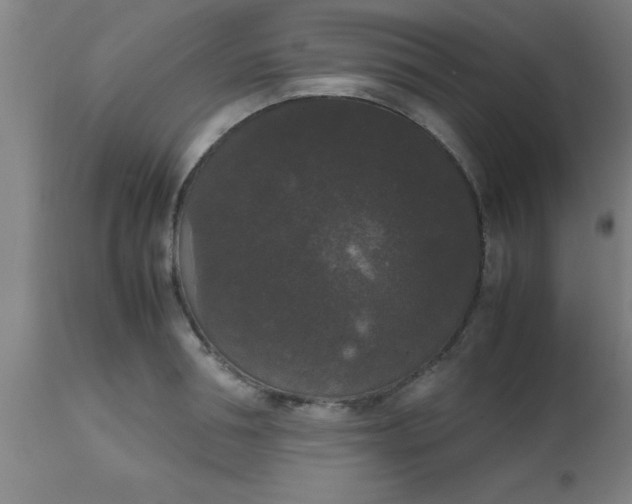 X0000112530994200909071353