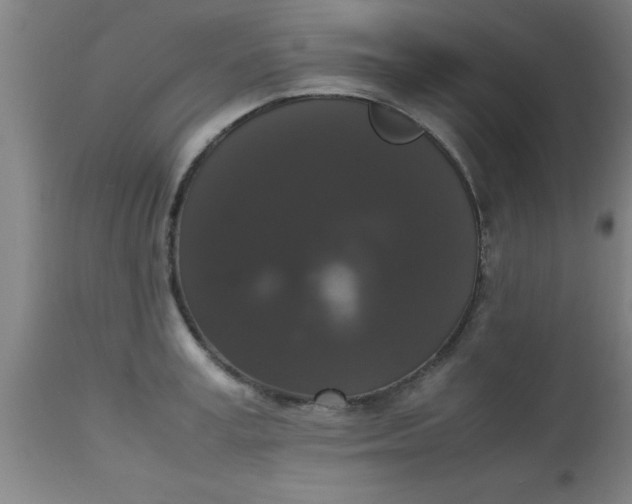 X0000112530995200909071353