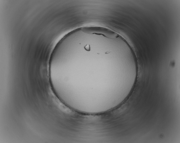 X0000112530996200909071353