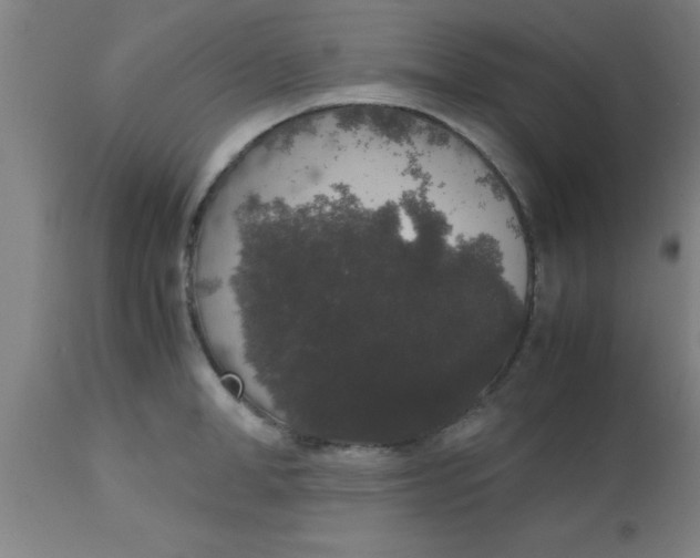 X0000112530998200909071353