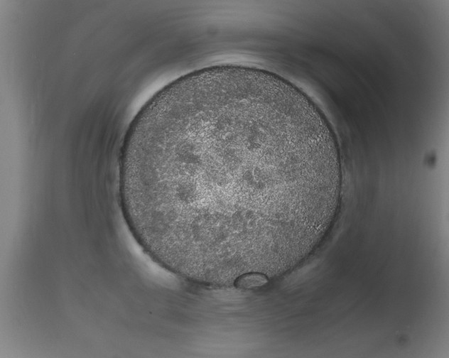 X0000112530999200909071353