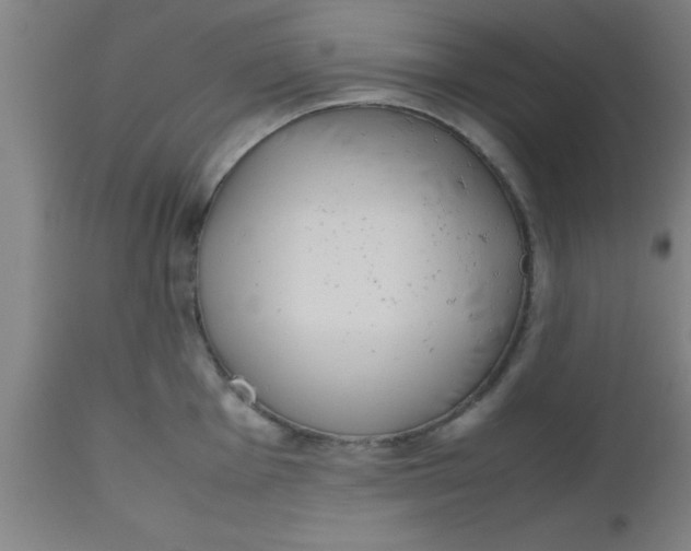 X0000112531001200909071353