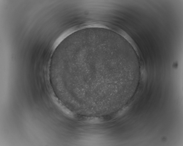 X0000112531002200909071353